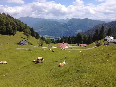 Naturlandschaft in der Nähe der Ferienwohnung