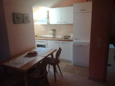 Küche/Küchenzeile in der Unterkunft Ferienwohnung Adlerhorst
