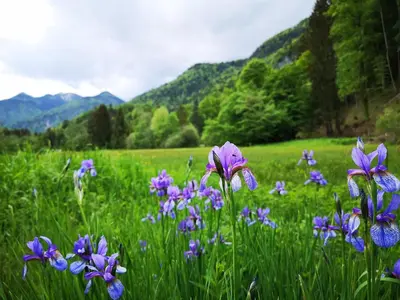 Naturlandschaft in der Nähe der Ferienwohnung