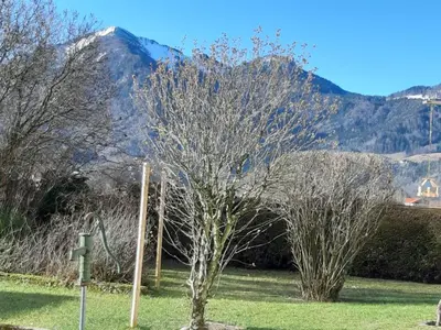 Ein allgemeiner Bergblick oder ein Berglick von der Ferienwohnung aus