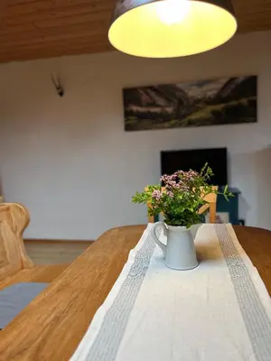 TV/Unterhaltungsangebot in der Unterkunft Huberhof, Mettenham