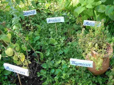Ein Garten an der Unterkunft Kneipp- und Wellvitalhotel Edelweiss