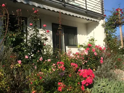Ein Garten an der Unterkunft Stilvolles Studio im Allgäu