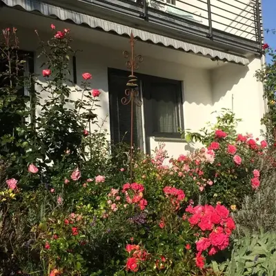 Stilvolles Studio im Allgäu