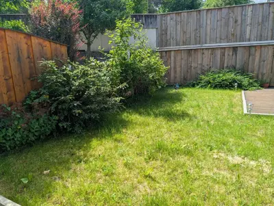 Ein Garten an der Unterkunft Ferienwohnung Hofheinz