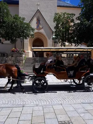 Tiere in der Pension oder in der Nähe
