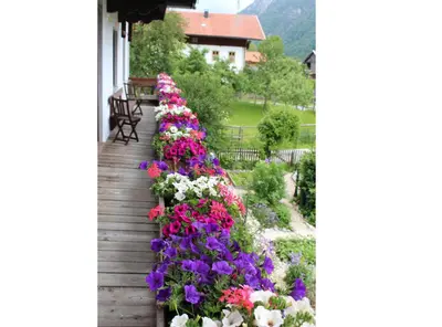 Ein Garten an der Unterkunft Grafn-Hof