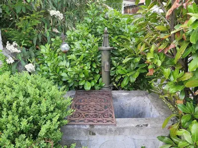 Ein Garten an der Unterkunft Ferienwohnung Riesenblick