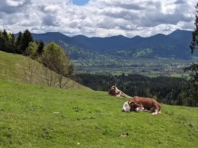 Naturlandschaft in der Nähe der Ferienwohnung