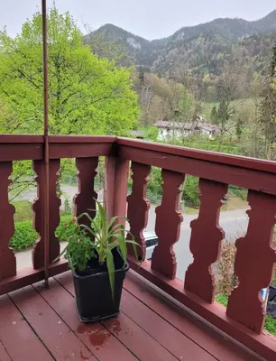 Naturlandschaft in der Nähe der Ferienwohnung