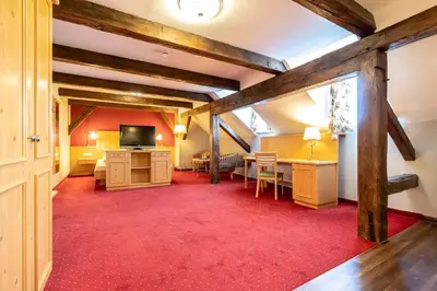 TV/Unterhaltungsangebot in der Unterkunft Hotel Vollmann