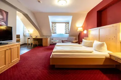 TV/Unterhaltungsangebot in der Unterkunft Hotel Vollmann