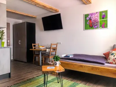 TV/Unterhaltungsangebot in der Unterkunft Boardinghaus Kastlmühle