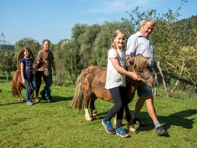 Tiere in diesem Bauernhof oder in der Nähe