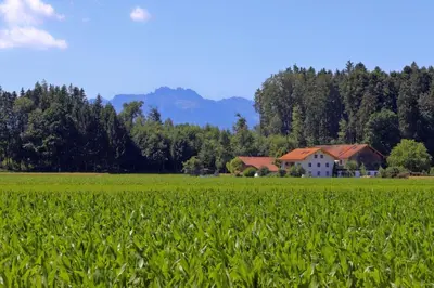 Naturlandschaft in der Nähe des Bauernhofs