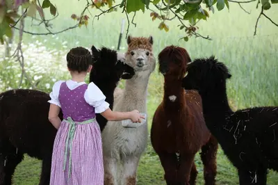 Tiere in diesem Bauernhof oder in der Nähe