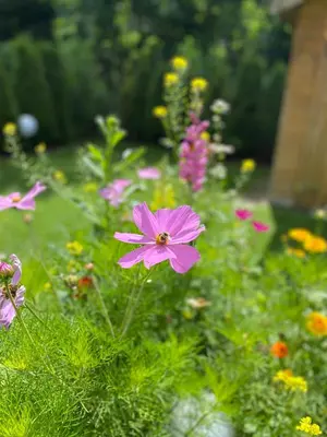 Ein Garten an der Unterkunft Neurenovierte Ferienwohnung Xaver