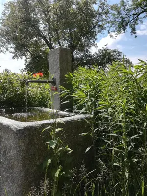 Ein Garten an der Unterkunft Marxhof Seebruck am Chiemsee