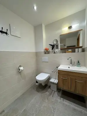Ein Badezimmer in der Unterkunft Ferienwohnungen Kieferbachtal