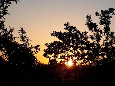 Blick auf den Sonnenuntergang/Sonnenaufgang von der Ferienwohnung aus oder aus der Nähe