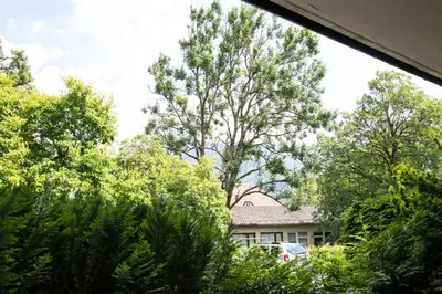 Ein Garten an der Unterkunft Atempause