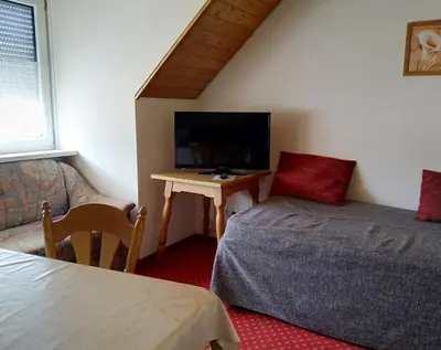TV/Unterhaltungsangebot in der Unterkunft Pension Schneider, Ferienwohnung