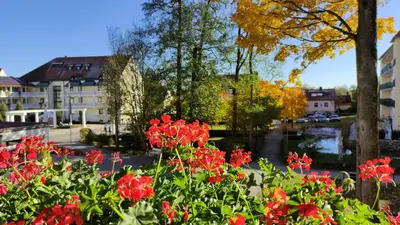 Ein Garten an der Unterkunft Pension Schneider, Ferienwohnung