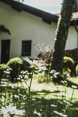 Ein Garten an der Unterkunft Gartenwohnung Tausendfreund am Chiemsee