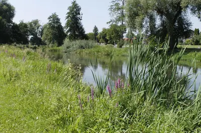 Naturlandschaft in der Nähe der Ferienwohnung