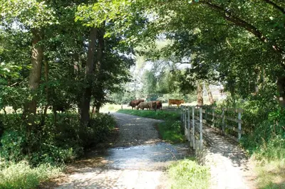Naturlandschaft in der Nähe der Ferienwohnung