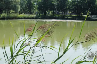 Naturlandschaft in der Nähe der Ferienwohnung