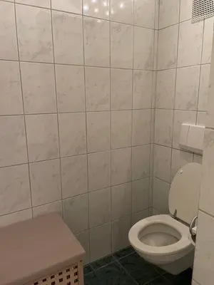 Ein Badezimmer in der Unterkunft TopLoft im Ilmtal