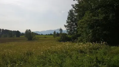 Naturlandschaft in der Nähe der Ferienwohnung