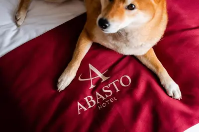 Ein Zertifikat, Auszeichnung, Logo oder anderes Dokument, das in der Unterkunft Abasto Hotel Dachau ausgestellt ist