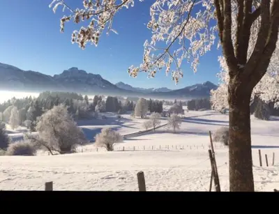 Naturlandschaft in der Nähe der Ferienwohnung