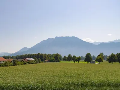 Naturlandschaft in der Nähe der Ferienwohnung