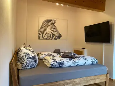 TV/Unterhaltungsangebot in der Unterkunft Ferienwohnung Lisl