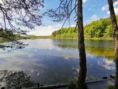 Naturlandschaft in der Nähe der Ferienwohnung