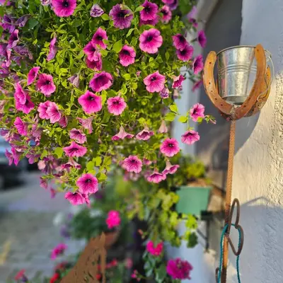 Ein Garten an der Unterkunft Der Blankhof 