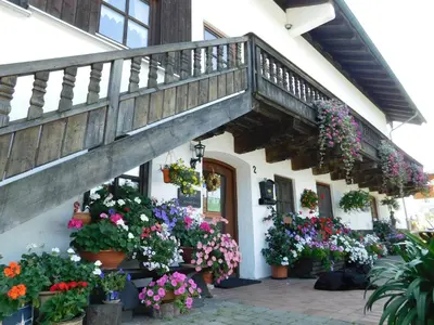 Ein Garten an der Unterkunft Der Blankhof 
