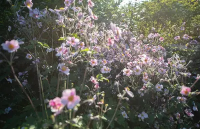 Ein Garten an der Unterkunft Einzigartige Naturoase im Süden von Ingolstadt