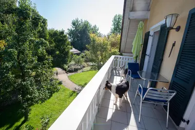 Haustiere von Gästen der Unterkunft Einzigartige Naturoase im Süden von Ingolstadt