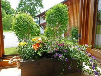 Ein Garten an der Unterkunft Ferienwohnung Murmeltier