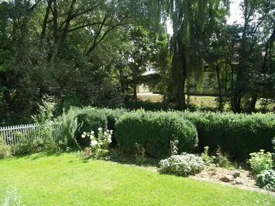 Ein Garten an der Unterkunft ARRIVEL Pension Haus am Bach