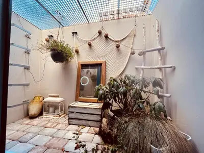 Ein Garten an der Unterkunft Hirschzimmer & Strandzimmer