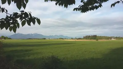 Naturlandschaft in der Nähe der Ferienwohnung