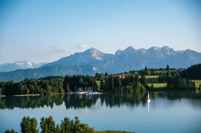 Naturlandschaft in der Nähe der Ferienwohnung