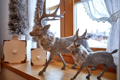 Tiere in der Ferienwohnung oder in der Nähe