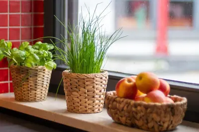 Essen in der Ferienwohnung oder in der Nähe