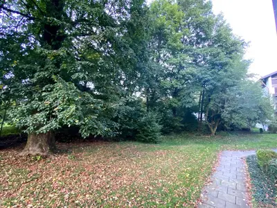 Ein Garten an der Unterkunft Ferienwohnung Brünnstein - Alpenmagie Suites